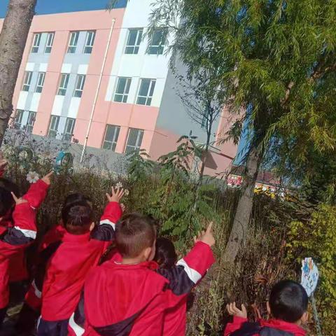 泾河源镇中心幼儿园“寻找秋天的足迹”小二班开展的主题教育教学活动