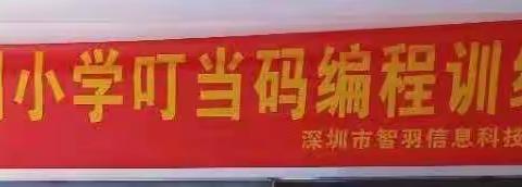 日喀则市小学备战“第十一届蓝桥杯大赛青少年创意编程”赛前集训