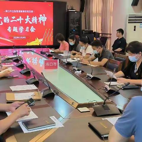 市应急管理局第四党支部组织召开党的二十大精神专题学习会