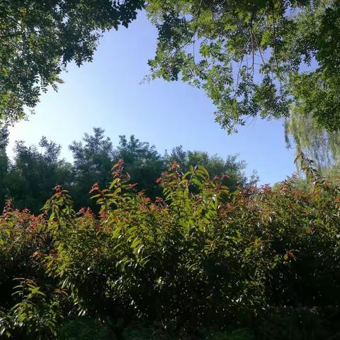 相信自己的自愈能力