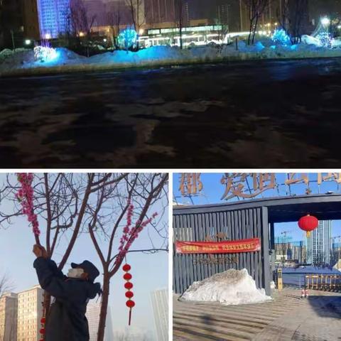 白鸟郡.爱情公寓1月工作简报