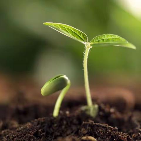 认真落实“六个一”，学生美好未来可期——北海一实小学部德育工作点滴