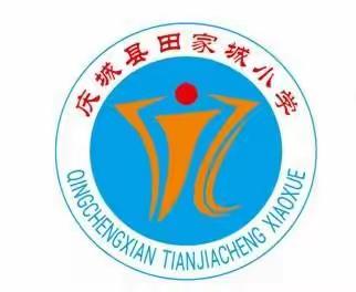 做阳光少年       展自我风采—田家城小学第一届体育节之趣味拍球、摇转呼啦、“毽”舞飞扬