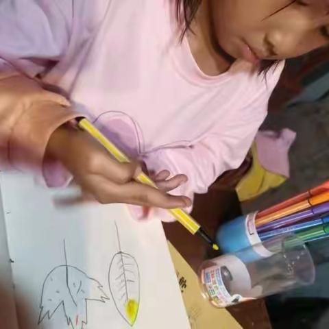 刮风寨幼儿园家庭作业