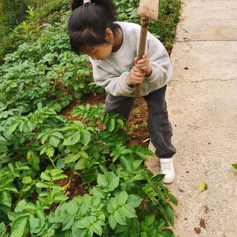 劳动快乐，五一新体验