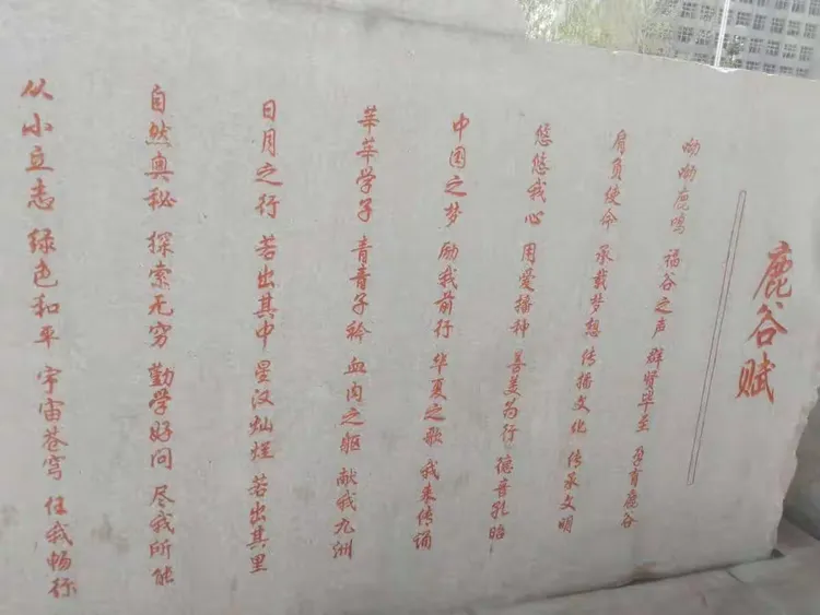 长子县鹿谷小学规划图片