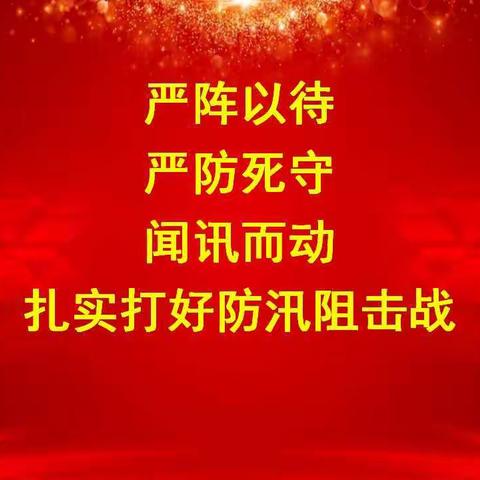 　严阵以待　严防死守 闻汛而动 扎实打好防汛阻击战