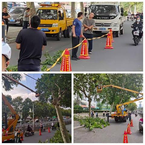 护航二十大 广场在行动