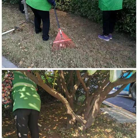 【广场游园管理处 】    草籽播撒为秋冬草坪增添绿意