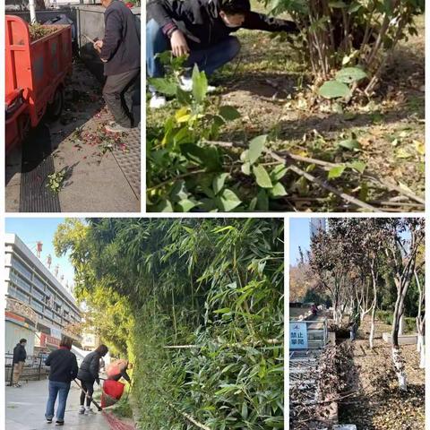 “四项举措”有序开展秋冬季绿化养护工作