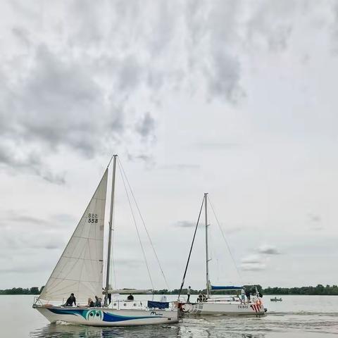 线描画《船帆运动》