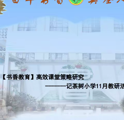 六街街道茶树小学的美篇