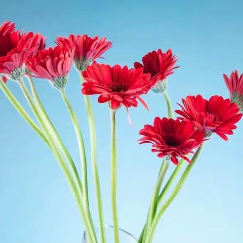 嗯，让我来做深呼吸吧