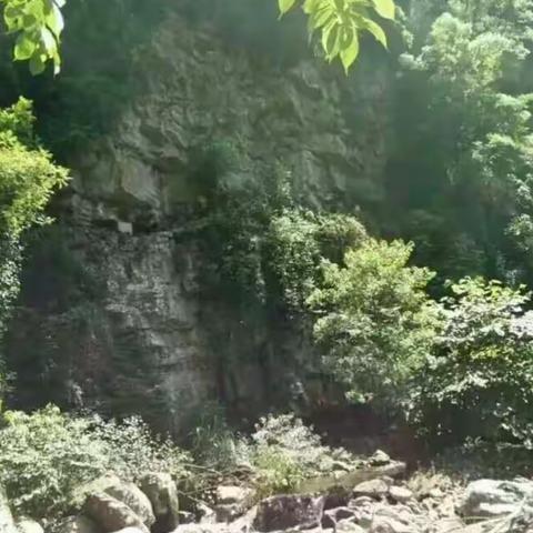 湘西原生态绿色健康产品之二（野生土蜂蜜）