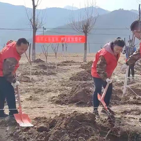 植树添新绿 不负好时光