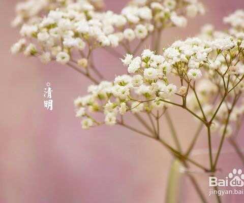 清明节放假通知：      临河区第一小学