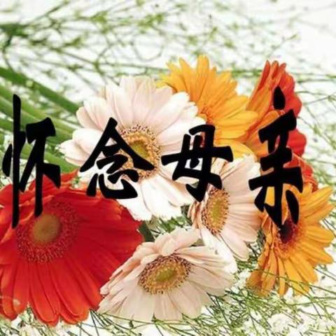 永失母爱——怀念我伟大坚强的母亲