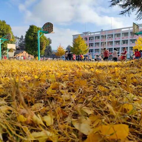 一路研行，一场修行﻿— 腾冲市马站乡中心小学十一月教研活动总结