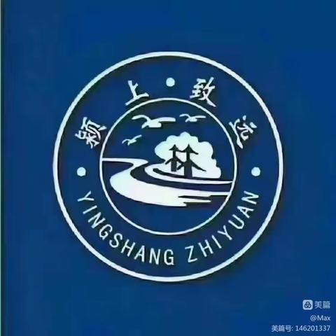 颍上县致远学校2022-2023学年第一学期第二期“小低部班主任沙龙活动——严而有度       爱而不宠”