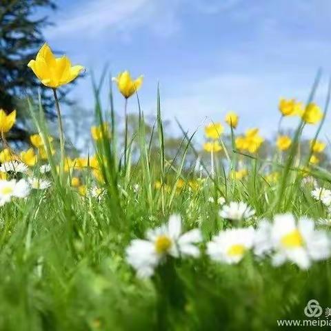 亦是师生，亦是朋友。常宁市莲花小学二年级9班