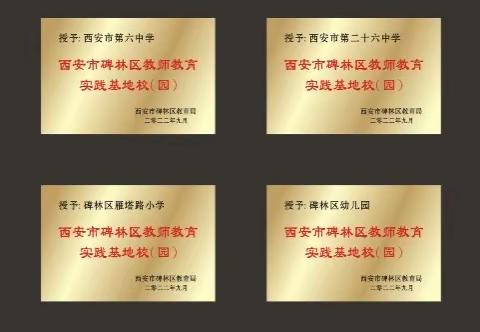 【碑林教育•新教师培训】携手雁苑共成长 同心同力育芬芳——碑林区2022年新教师培训基地校介绍（四）