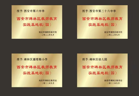 【碑林教育•新教师培训】逐梦春化雨  筑梦自成溪 ——碑林区2022年新教师培训基地校介绍（七）