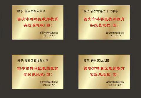 【碑林教育•新教师培训】以人为“本”，育人求“真” ——碑林区2022年新教师培训基地校介绍（六）