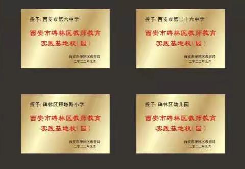 【碑林教育•新教师培训】跨校带教新征程 教师培训谱新篇——碑林区2022年新教师培训基地校介绍（一）