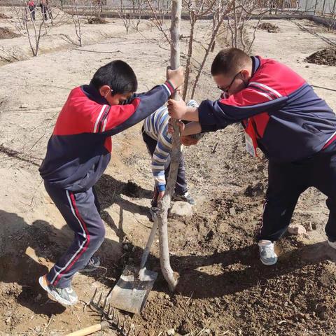 “清明春光好，植树正当时”红星四场第二学校主题党日主题队日活动