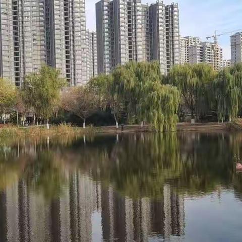 董口镇中心学校防范一氧化碳中毒致全镇学生家长的一封信（明白纸）