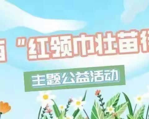 【学习二十大 共绘新希望】——“红领巾壮苗行动”爱心义卖捐款活动