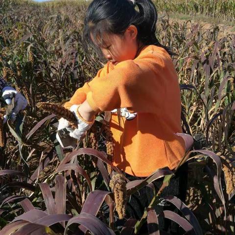 三年十班国庆开展“光盘行动，拒绝剩餐，从我做起”