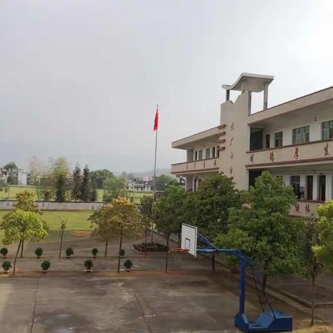 白鹭小学之学校风景篇