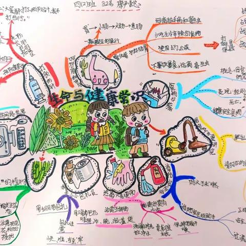 四（2）班：《生命与健康常识》&《心理健康》学习成果分享