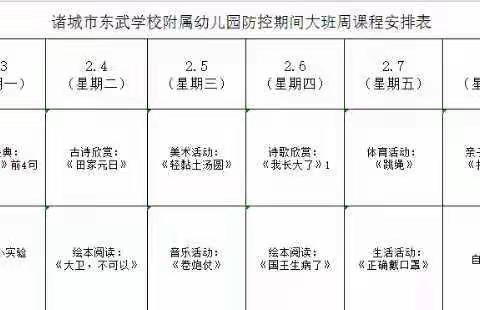 宅在家的春节我们可以这样做——东武学校附属幼儿园停课不停学大班活动纪实（六）