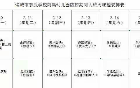 宅在家的春节我们可以这样做—— 东武学校附属幼儿园停课不停学大班活动纪实（十）