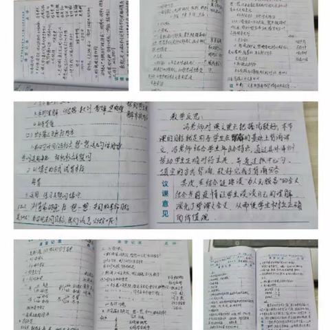 电视直播促成长，视频辅导传师心 ——宣化学校陈艳青老师的居家教学感悟