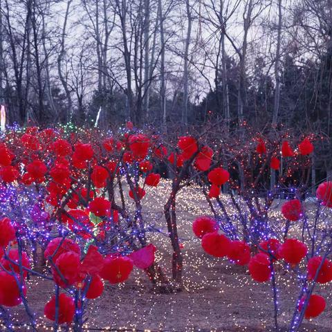 元宵节里闹花灯