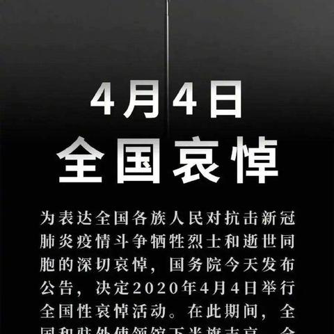 “清明，致敬抗疫英烈”——卢峰镇三完小党支部祭清明主题党日活动