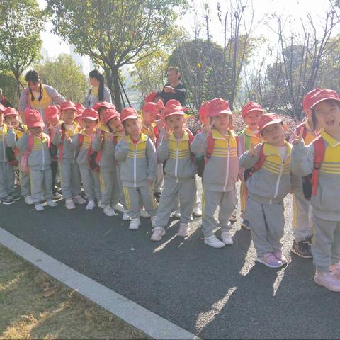 爱在金秋，拥抱大自然——金色摇篮启航幼儿园秋游活动