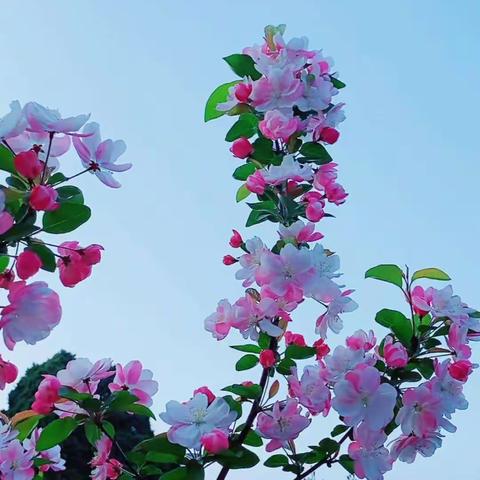 湘汨情怀/晨/彭以昭