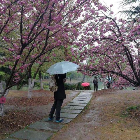 湘汨情怀/雨中漫笔/彭以昭
