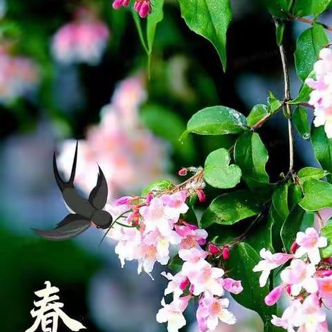 湘汨情怀/春分/彭以昭