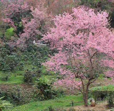 湘汨情怀/春绿江南/彭以昭