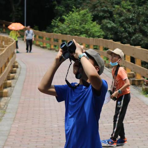 寻鸟之旅——福民社区“我与自然同成长”自然教育课堂