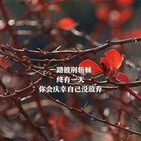 养儿不易