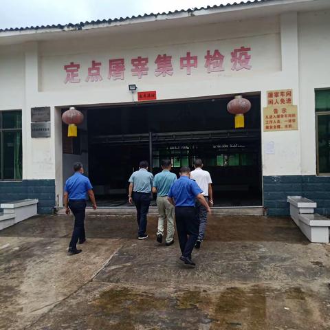 昌江县综合行政执法局农业行政执法大队中秋节前开展打击生猪私屠滥宰违法行为