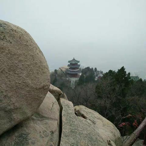 回首一八