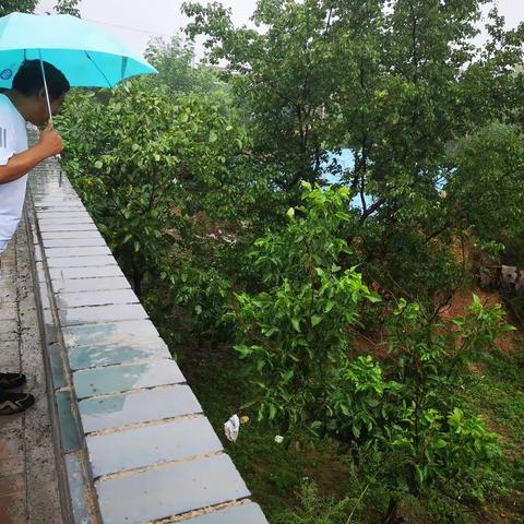 雨情延续责任延续