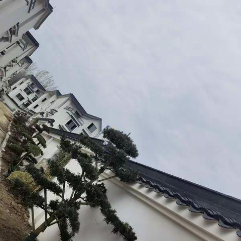 请关注的美篇